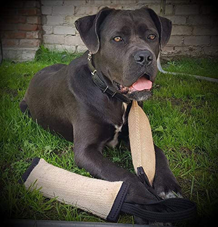 Boudin en Toile de Jute avec Support pour chien