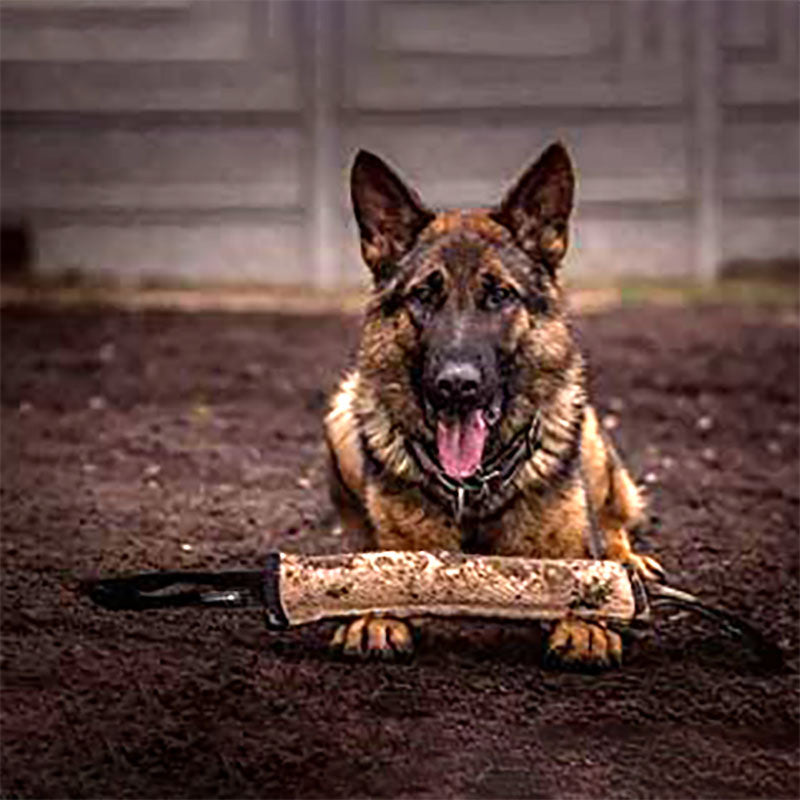 Boudin en Toile de Jute avec Support pour chien
