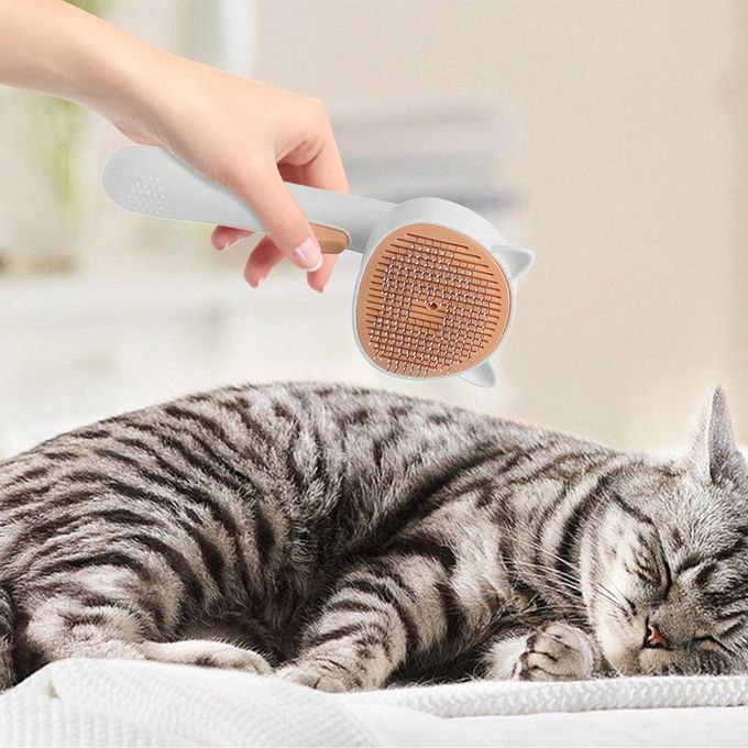 Brosses autonettoyantes pour animaux de compagnie pour chats à poils longs et courts