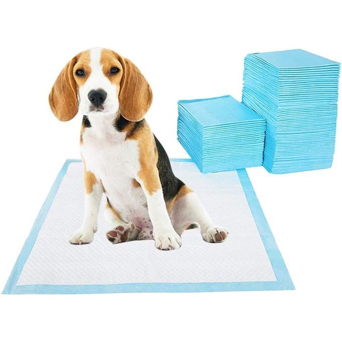 Tapis Hygiénique d'Entraînement Ultra Absorbant pour Chiens