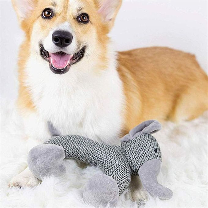 Peluche à Macher pour Chien Chien Molaire