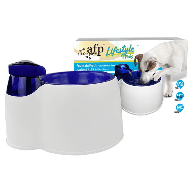 Fontaine bol à eau avec filtre