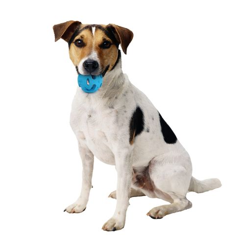 Meta ball rebondissante caoutchouc dur