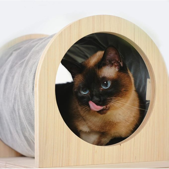 Tunnel de toilettage avec fixation au mur