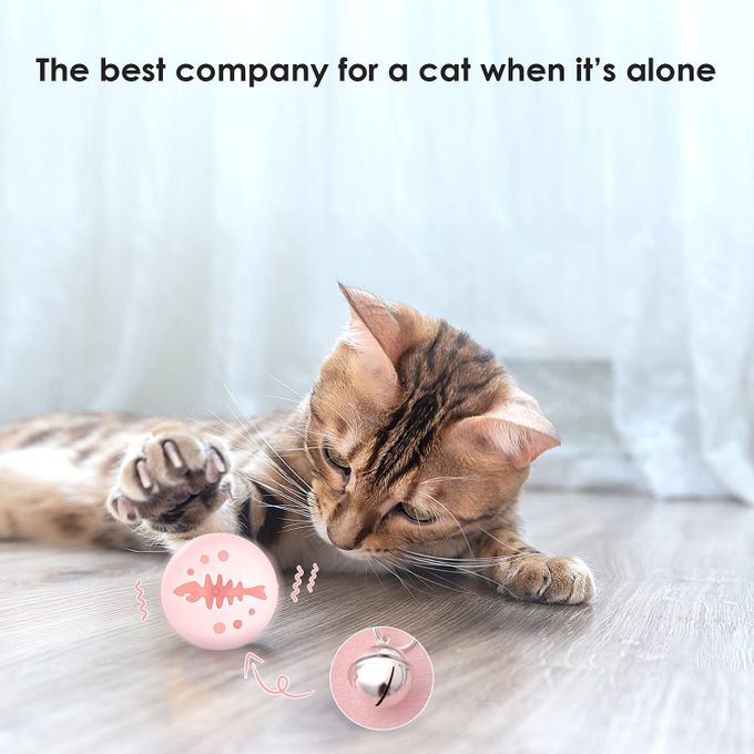 3 boules creuses en os de poisson pour chaton