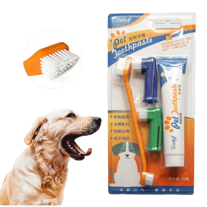 Brosse et dentifrice pour chien, soins bucco-dentaires pour chiens