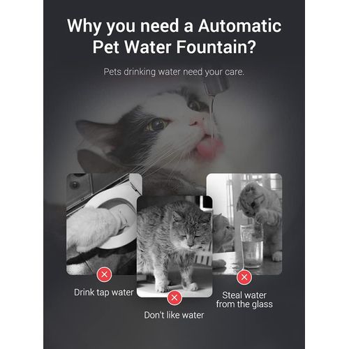 Fontaine à eau pour chat de grande capacité de 2L avec capteur marche/arrêt