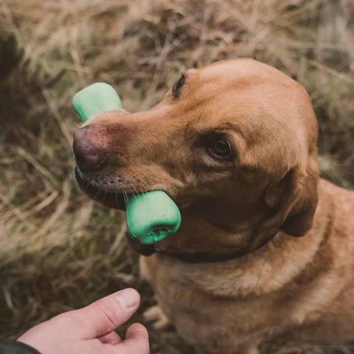 Beco Treat Bone – Moyen (175 mm) Vert