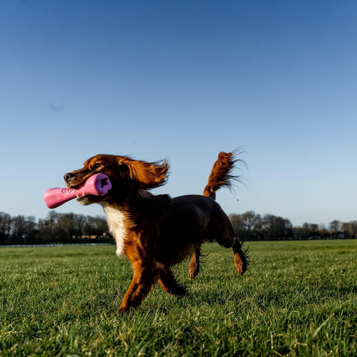 Beco Treat Bone – Moyen (175 mm) Rose