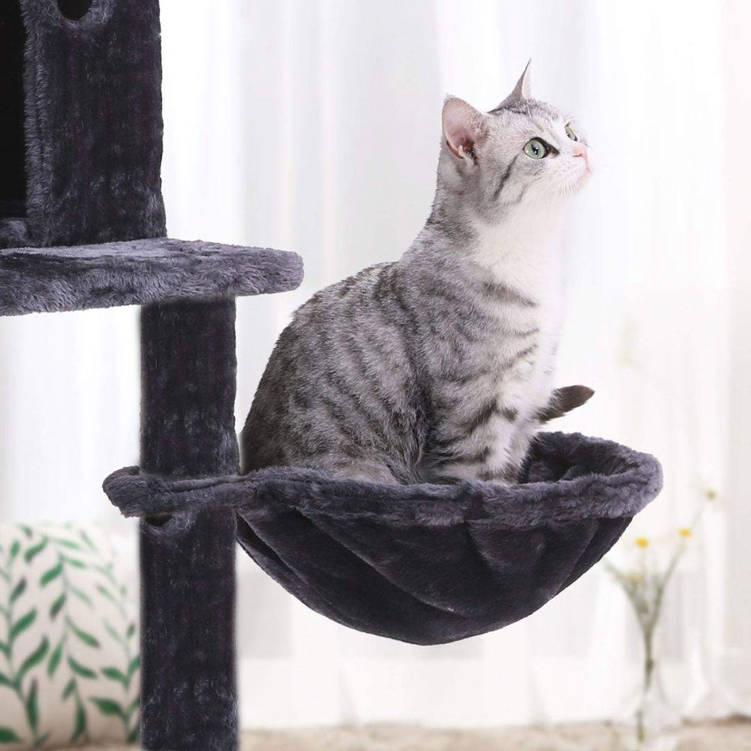 Animalux Arbre à chat 150 cm – Luxe, 2 niches, panier, perchoirs, griffoirs sisal et base renforcée  ECO