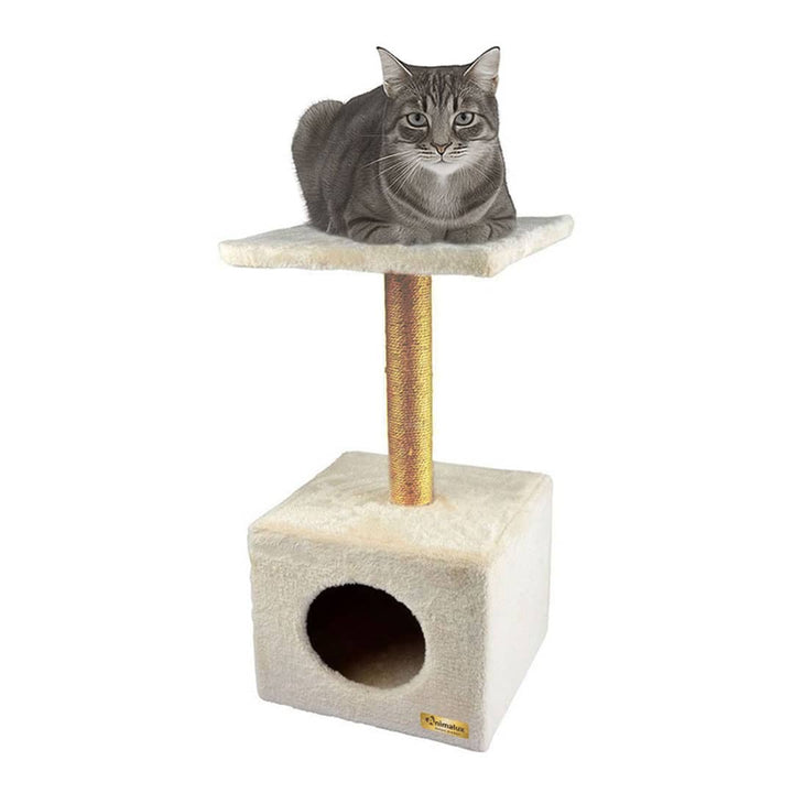 Arbre à Chat avec Niche et Griffoir – 60 cm