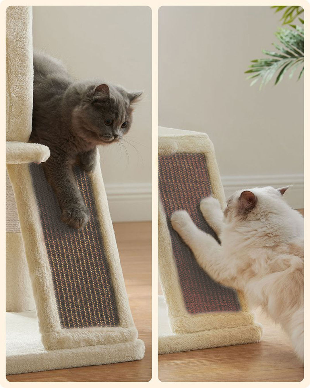 Arbre à chat de luxe avec hamac – 100 cm - ECO