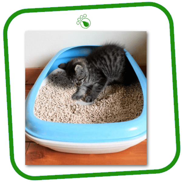 Bac à litière pour chat Beco bleu