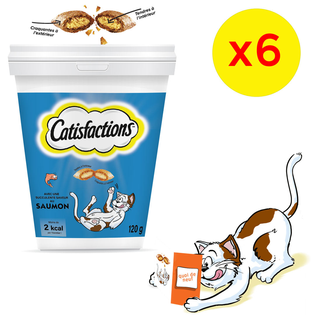 CATISFACTION pack 6piéces Friandise saumon pour chat 120gr
