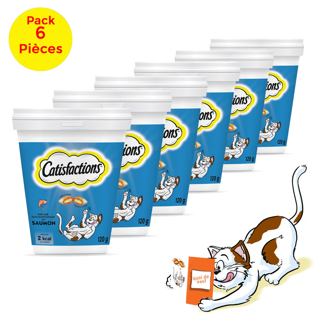 CATISFACTION pack 6piéces Friandise saumon pour chat 120gr