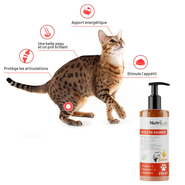 Nutrilux HUILE DE SAUMON 250ML POUR CHAT& CHIEN