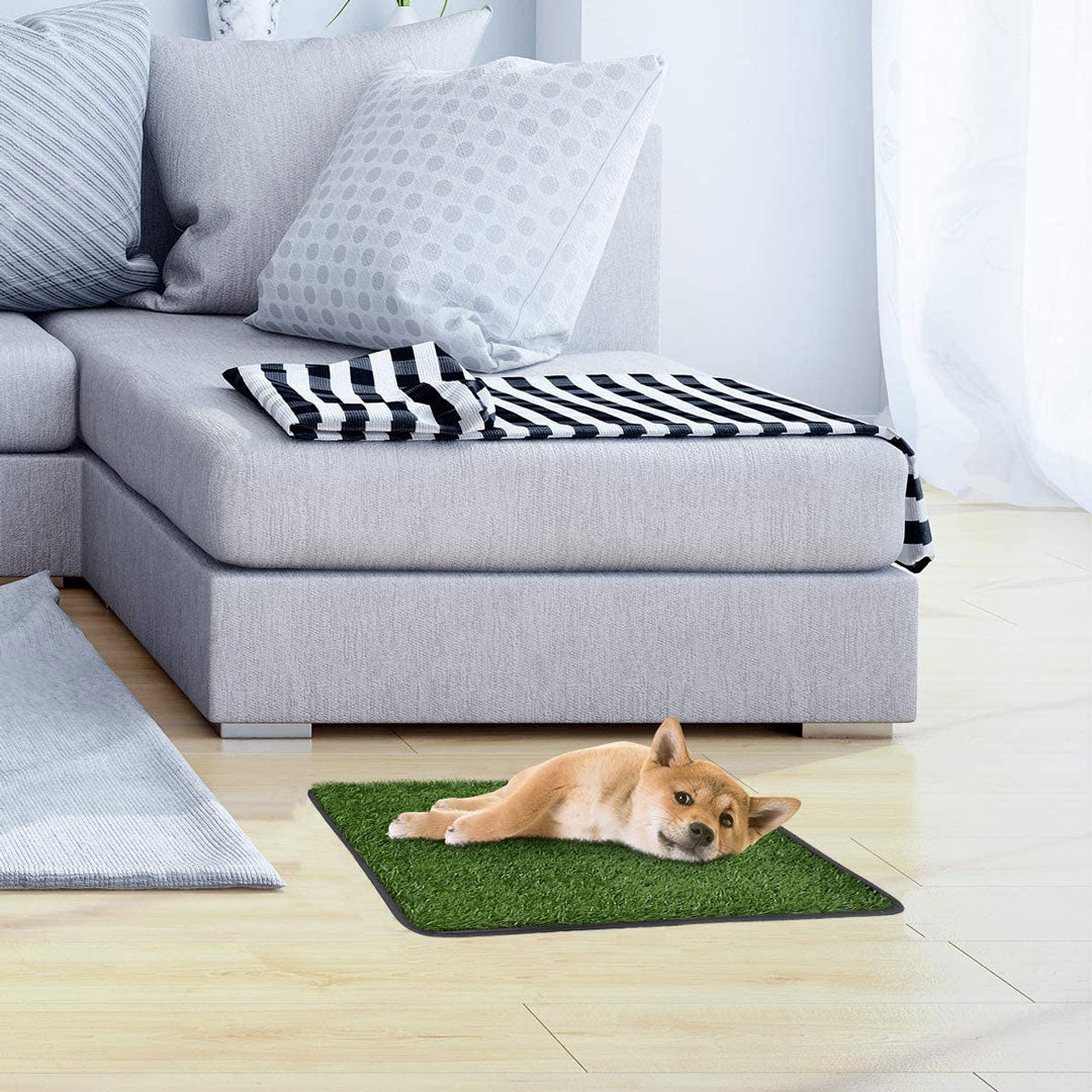 Tapis gazon vert pour chien