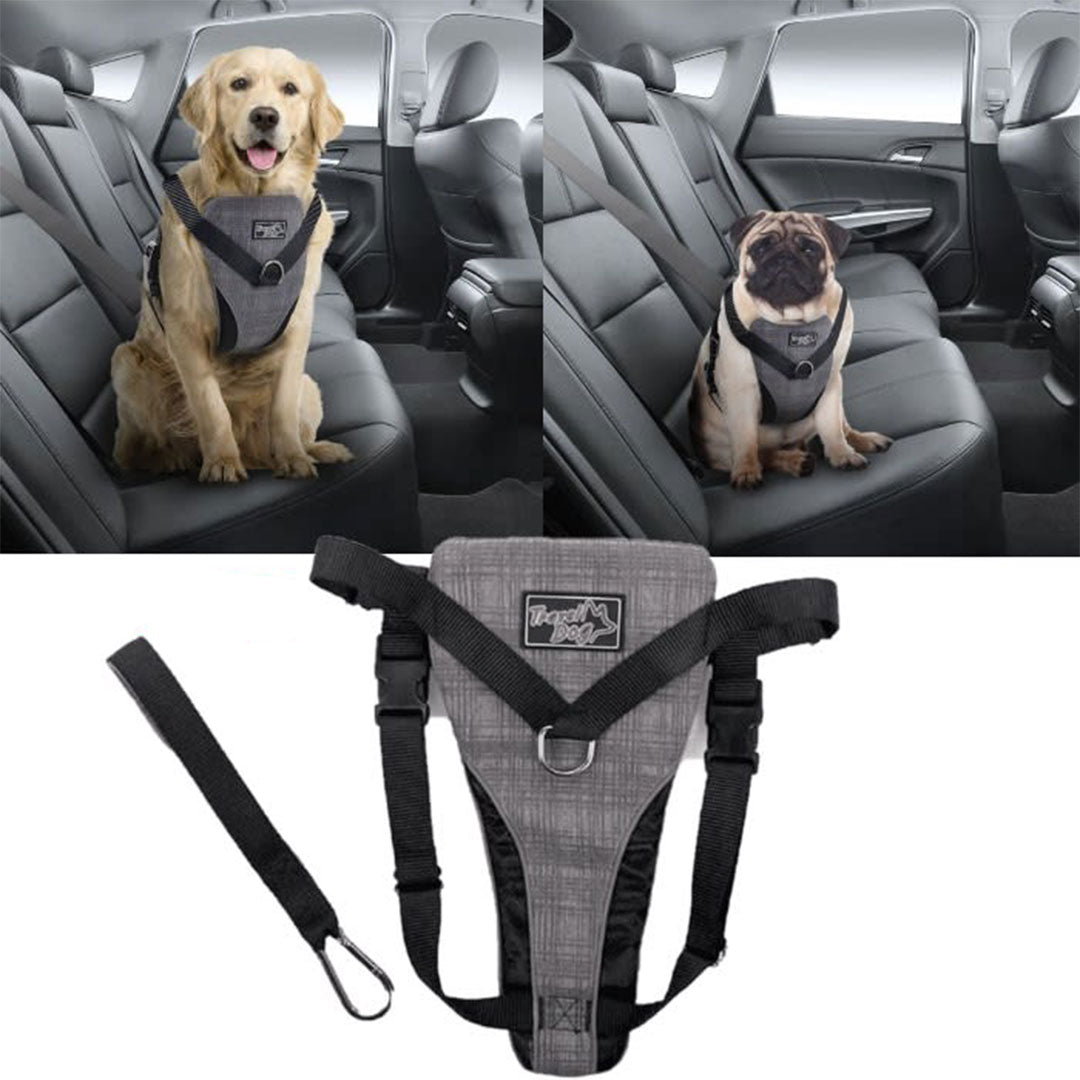 Harnais de sécurité pour siège de voiture S/M/L/XL