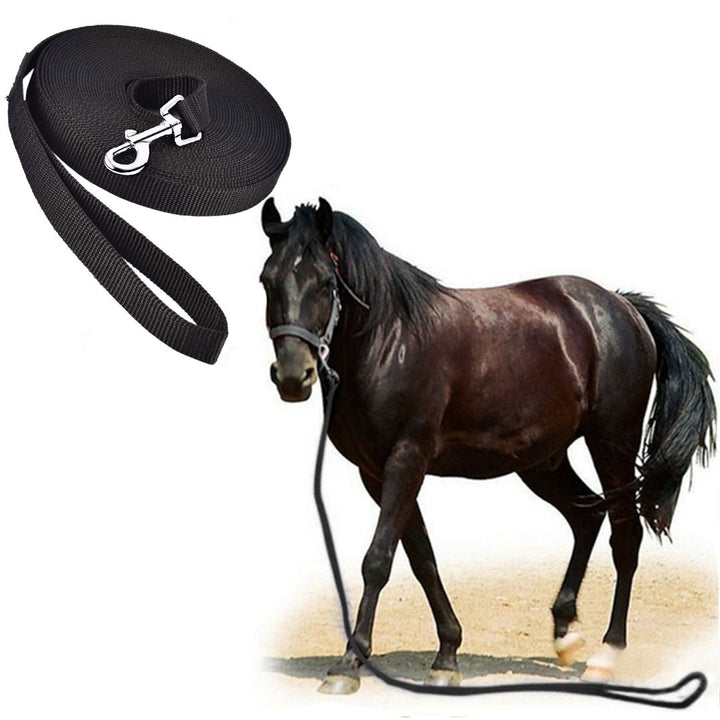 Longe de Travail Pour  Cheval 20M