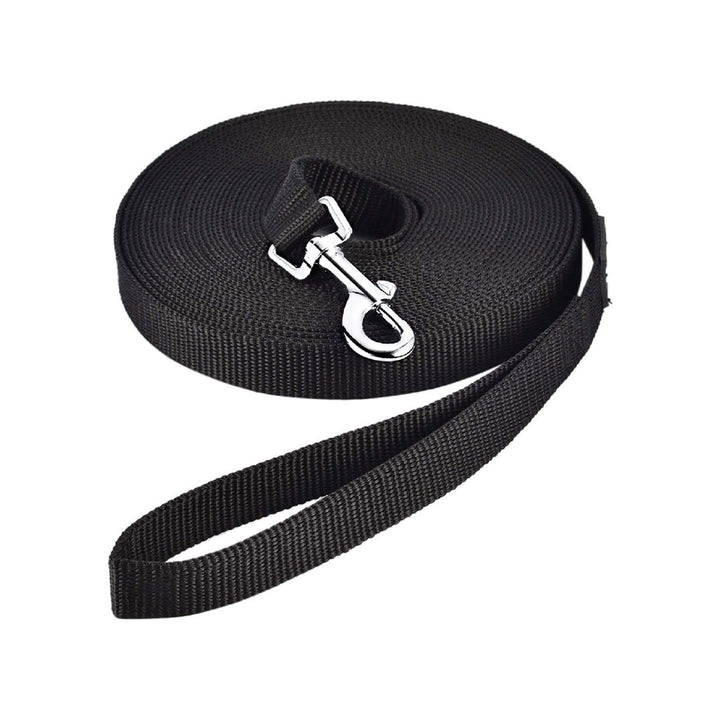 Longe de Travail Pour  Cheval 20M