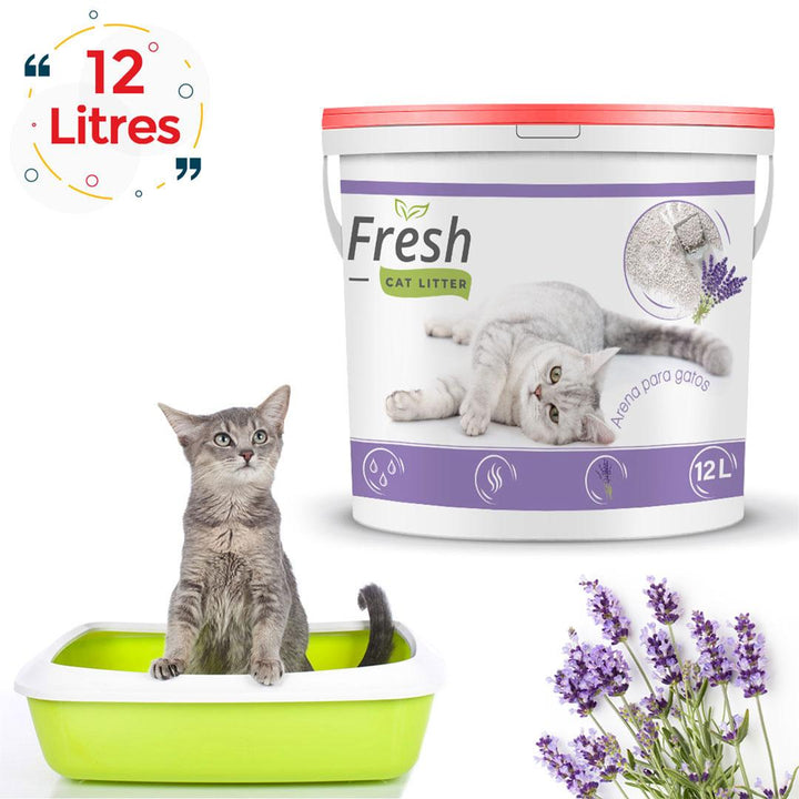 Fresh Litière agglomérante parfumée lavander 12 L