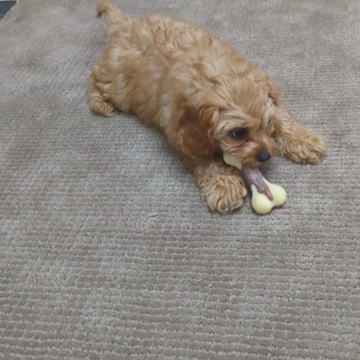 Os en Super Nylon – Encourage la mastication Medium