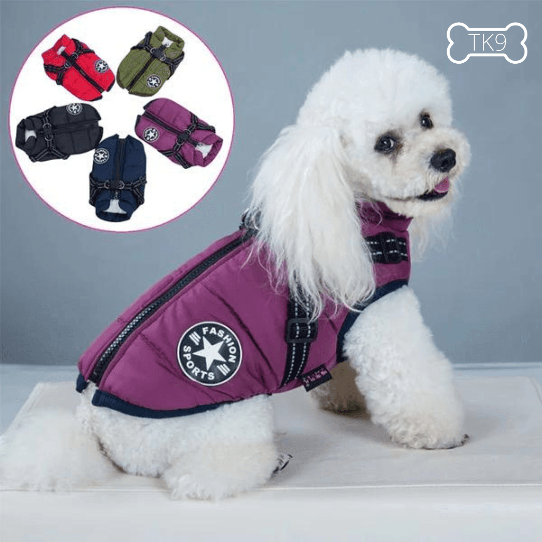 MANTEAU IMPERMÉABLE POUR CHIENS, GILET CHAUD POUR CHIENS